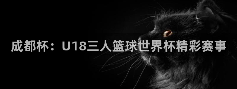 世界杯足球赛：成都杯：U18三人篮球世界杯精彩赛事