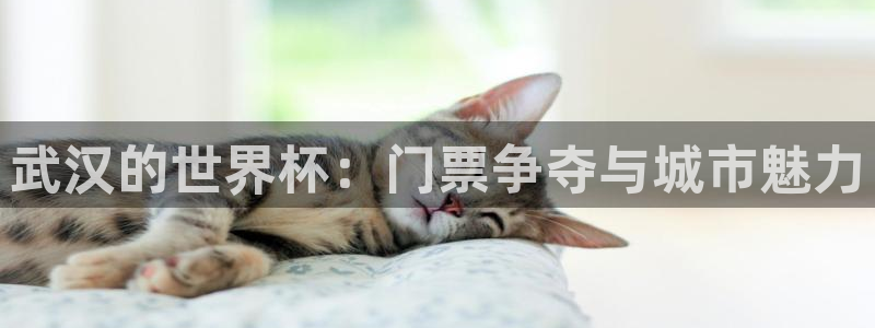 足球世界杯：武汉的世界杯：门票争夺与城市魅力