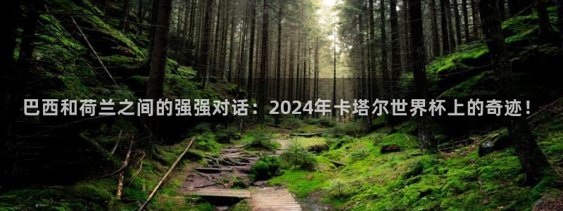 世界杯欧洲区赛程：巴西和荷兰之间的强强对话：2024年卡塔尔世界杯上的奇迹！
