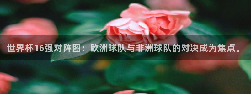 世界杯球队排名：世界杯16强对阵图：欧洲球队与非洲球队的对决成为焦点。