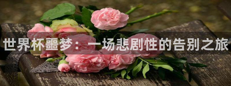 2026世界杯足球赛程时间表：世界杯噩梦：一场悲剧性的告别之旅