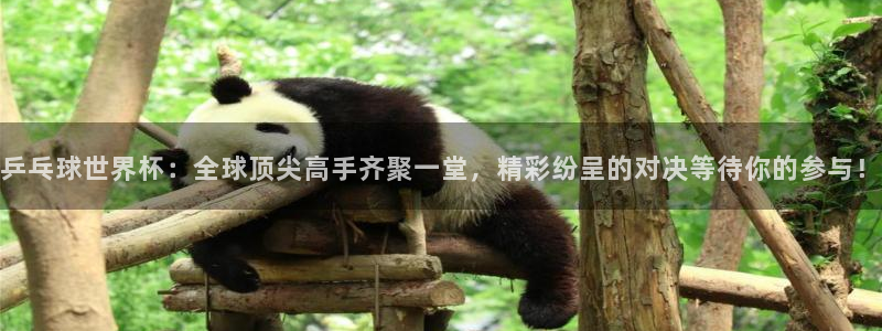 2026年世界杯：乒乓球世界杯：全球顶尖高手齐聚一堂，精彩纷呈的对决等待你的参与！