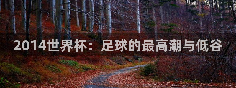 足球世界杯2026年赛程时间表：2014世界杯：足球的最高潮与低谷