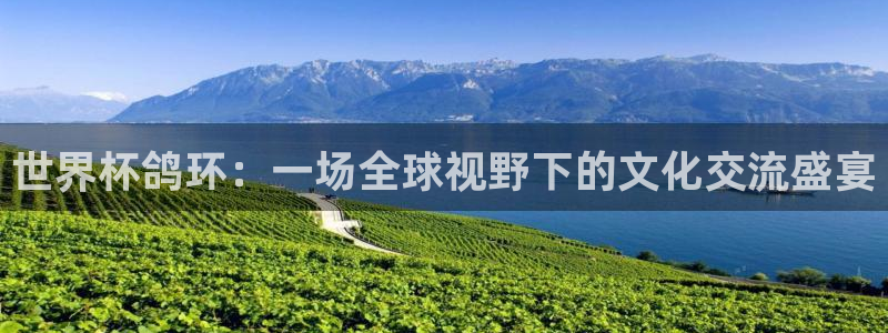 欧洲区世界杯预选赛：世界杯鸽环：一场全球视野下的文化交流盛宴