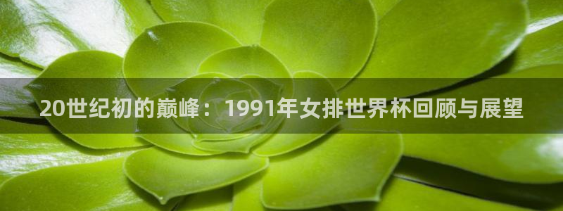 世界杯欧洲区世预赛赛程：20世纪初的巅峰：1991年女排世界杯回顾与展望