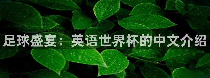 今年世界杯：足球盛宴：英语世界杯的中文介绍