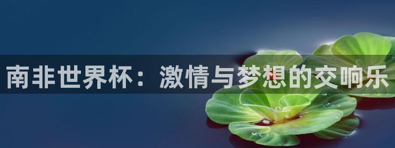 2026世界杯32强对阵图表：南非世界杯：激情与梦想的交响乐