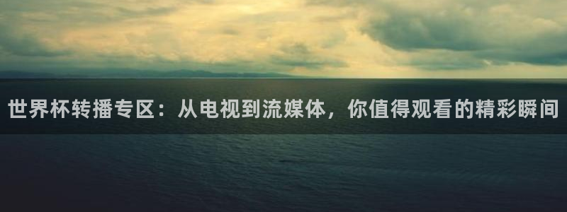 2026世界杯南美区积分榜：世界杯转播专区：从电视到流媒体，你值得观看的精彩瞬间