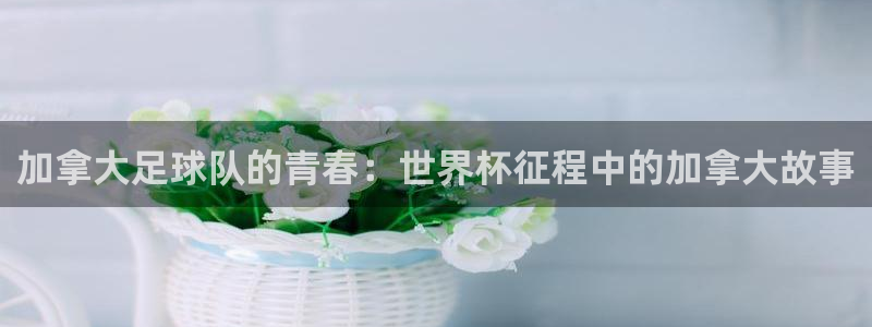 世界杯对阵图2026：加拿大足球队的青春：世界杯征程中的加拿大故事