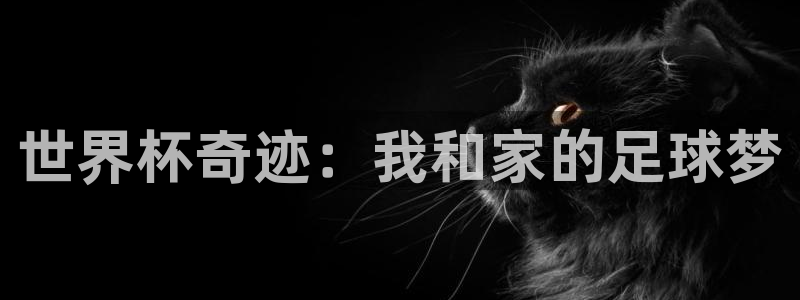 2026年世界杯对阵图：世界杯奇迹：我和家的足球梦