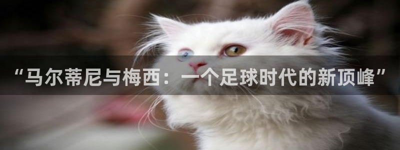 2026世界杯赛程:“马尔蒂尼与梅西:一个足球时代的新顶峰”