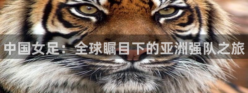 世界杯今年：中国女足：全球瞩目下的亚洲强队之旅