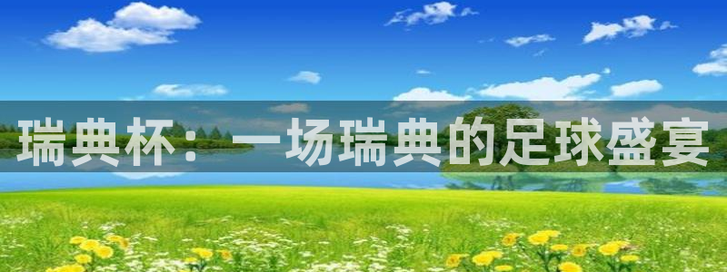 世界杯直播：瑞典杯：一场瑞典的足球盛宴