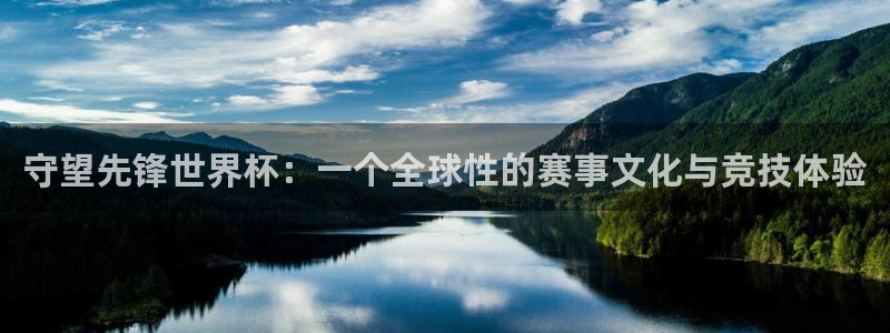 世界杯足球赛2026赛程时间：守望先锋世界杯：一个全球性的赛事文化与竞技体验